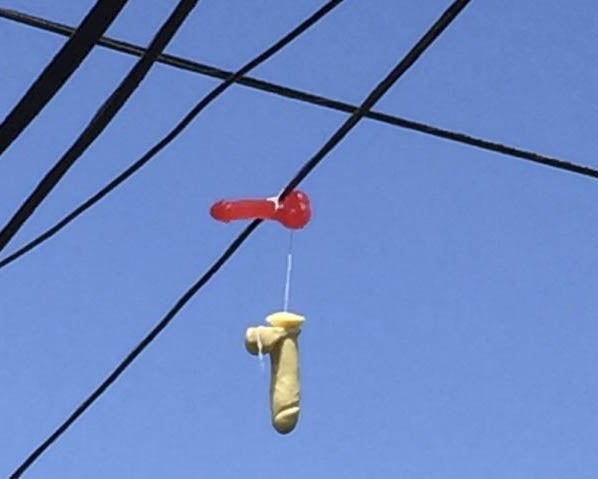 Sex toys have been mysteriously appearing on power lines in the US